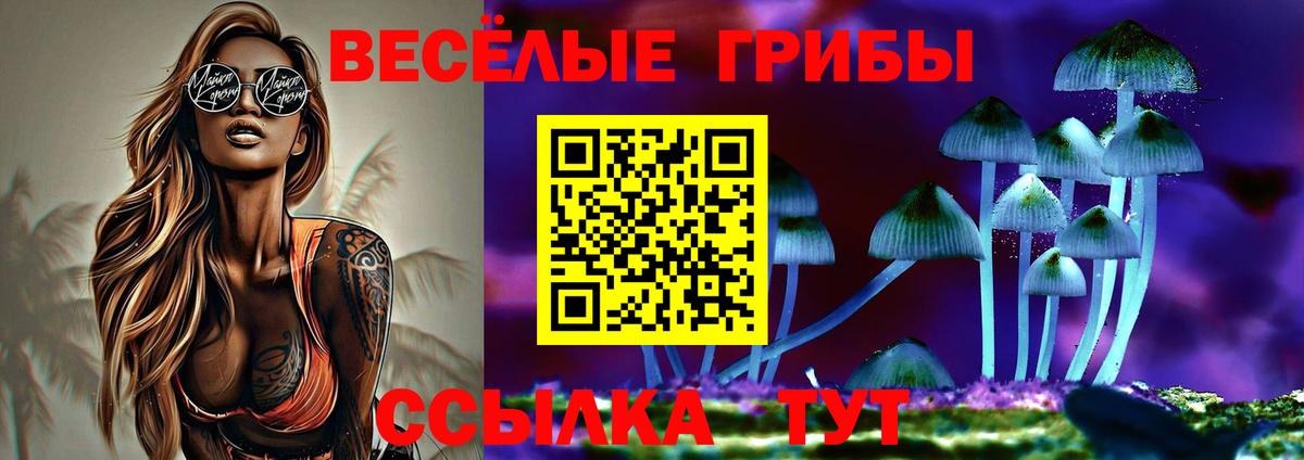 Псилоцибиновые грибы мицелий Кировск
